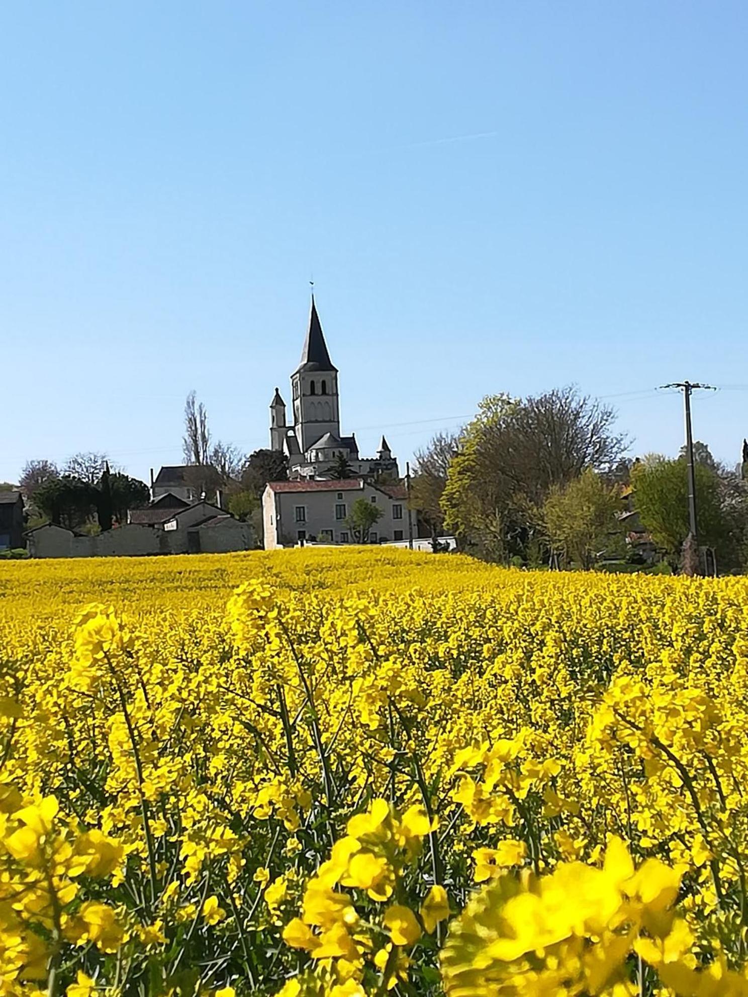 Aux Acacias Villa Braye-sous-Faye ภายนอก รูปภาพ